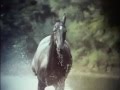 The Adventures Of Black Beauty Opening And Closing Theme 1972 1974