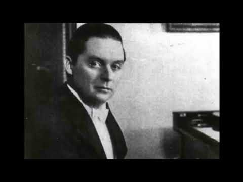 Mozart "Piano Concerto No 20" Mitja Nikisch