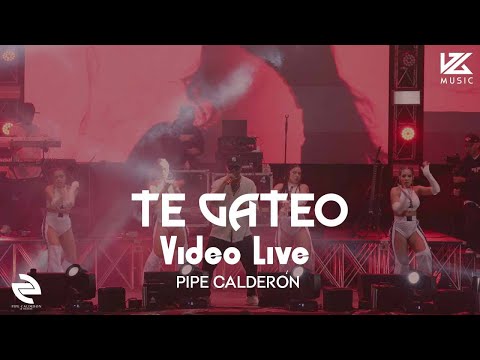 Pipe Calderón - Te Gateo  (en vivo desde Toledo) | Live