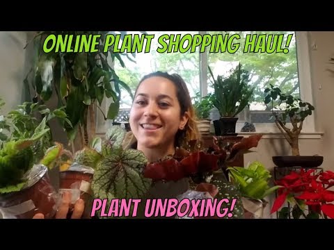 Houseplant Unboxing! + Steve's Leaves!