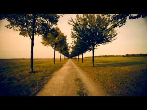 Moe Phoenix ft.  DJ Tabasco Bob - Frei