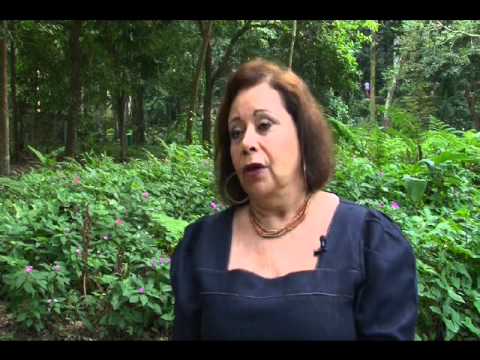 Reflorestamento da Floresta da Tijuca - Expedições (29/11/2011)