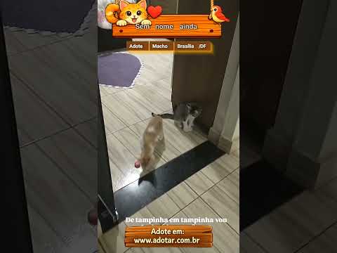 Vídeo de Sem nome ainda