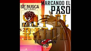 Soy El Ratón (En Vivo) Lyrics English Translation