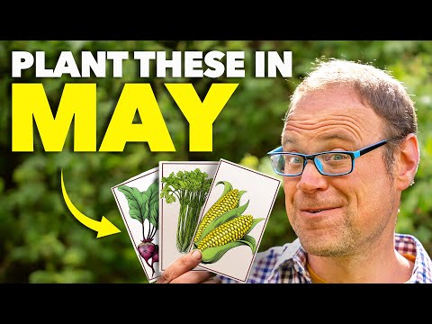 You Must Sow These Seeds in October