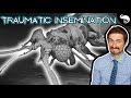 Animal Sex Can Be Absolutely Horrifying