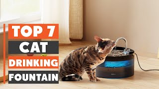 7 Best Cat Drinking Fountain: Keep Your Feline Hydrated