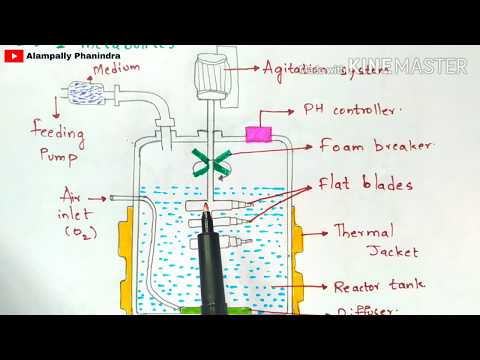 Fermentation process | Working of Fermenter | Nutrient medium for fermentation | Bioreactor