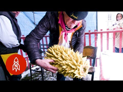 download lagu mp3 mp4 French Cake, download lagu French Cake gratis, unduh video klip French Cake