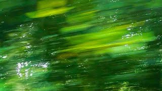 안녕, 여름 (𝙼𝚎𝚖𝚘𝚛𝚢)