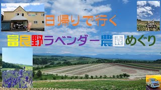 これからが旬 富良野ラベンダー