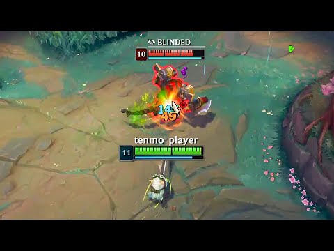 THE TANK KILLER TENMO BUILD