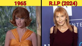 Gilligan's Island Cast Then and Now 2026: What Happened to Them?