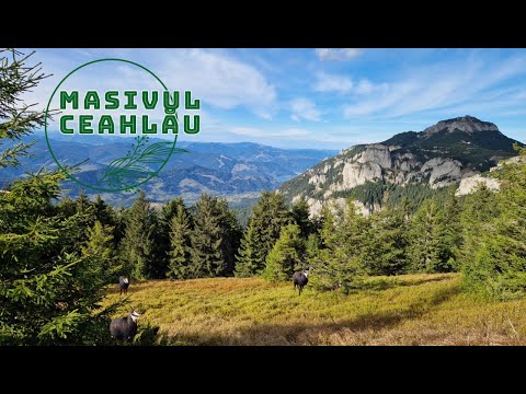 Masivul Ceahlău (Muntele sacru al Moldovei) | Cascada Duruitoarea - Cabana Dochia - Toaca - Panaghia