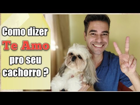 How do you tell your dog you love him?