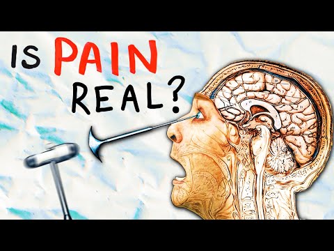 Does Pain Actually Hurt?