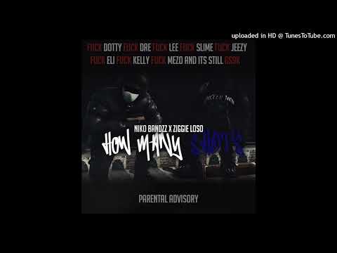 [ZOO YORK RP][IC] NikoBandz x Ziggie Loso - How Many Shots?
