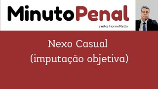 71 Nexo causal. Imputação objetiva.