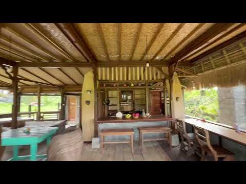 🌟 Discover the Vibrant Lifestyle of Ubud, Bali Indonesia | Daily Vlog Adventure