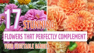 17 Stunning Flowers that Perfectly Complement Your Vegetable Garden