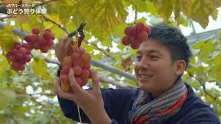 World class Sendai Foods 3 Perfect Days in Miyagi (ja)