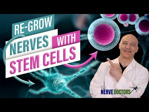 Eat THIS to 5X Stem Cells & Regenerate Nerves FAST–NO $20K Shot!