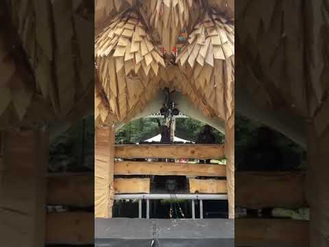 Diane Psynonima: Shankra Festival 2023