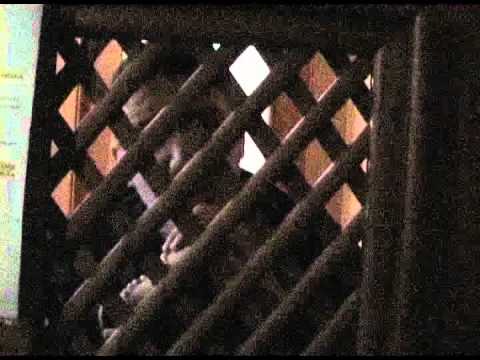 P.A.T. feat Marock-Vrat to spet (oficial video)