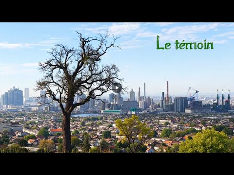 Notre dernière vidéo thumbnail