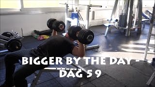 BIGGER BY THE DAY   DAG 59