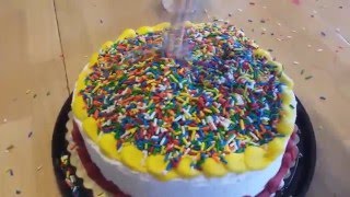 100,000 Sprinkles on a Cake (not really) (100,000 Subscriber Special!)