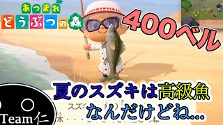 嫌われ者のスズキもリアルでは高級魚な話【あつまれどうぶつの森】#17