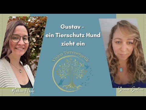 No. 40 Fallbeispiel "Gustav"