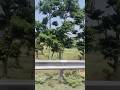 Chahe Lakh Toofan Aaye Nature Hillsstation Hindisongs Bollywood Love Travel Old Music Song