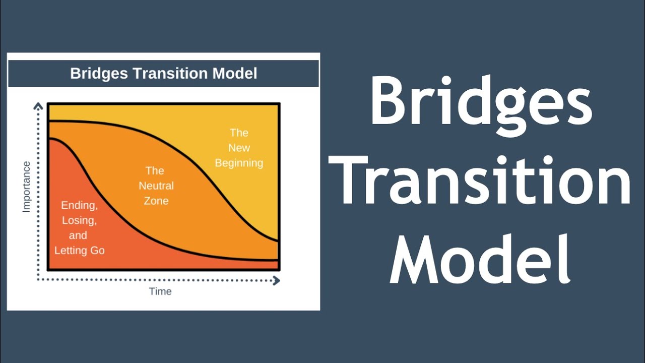 Bridges Transition Model Explained