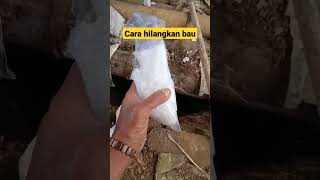 Download lagu penghilang bau #air #shorts #airsumur mp3