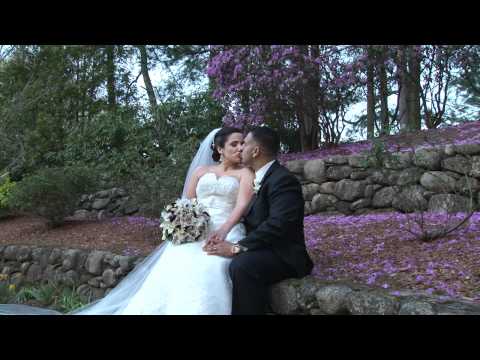 Chris & Angela's Wedding Celebration Highlights !!!