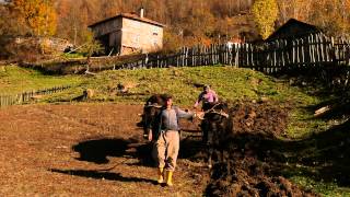 preview picture of video 'KASTAMONU (Fahri ÖZBEK©)'