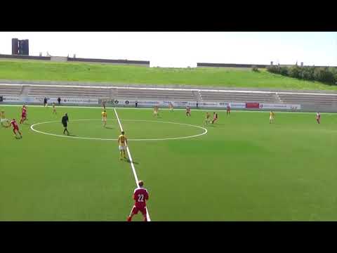 Brandon Fricke Nybro IF Highlights - 2017