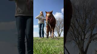 Don’t mind my face I was thinking