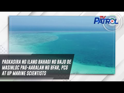 Pagkasira ng ilang bahagi ng Bajo de Masinloc pag-aaralan ng BFAR, PCG at UP Marine Scientists