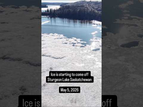 Ice is starting to come off Sturgeon Lake Saskatchewan - May 5, 2026