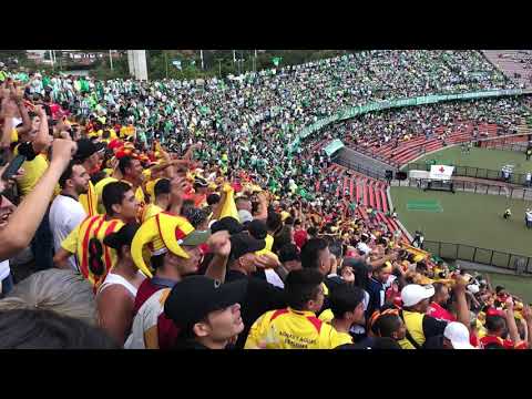 "Atlético Nacional Vs Deportivo Pereira" Barra: Lobo Sur • Club: Pereira