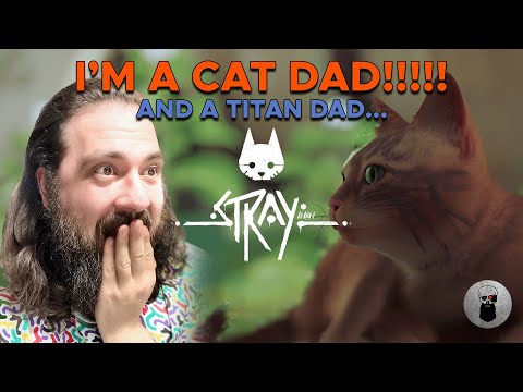 I'M A CAT DAD!!! And a Titan Dad....
