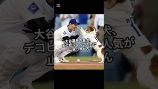 【驚愕】大谷翔平の愛犬・デコピン、ついに「ビザ」を取得！？#野球  #大谷翔平  #デコピン  #愛犬