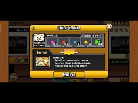 sanzo cat evolution