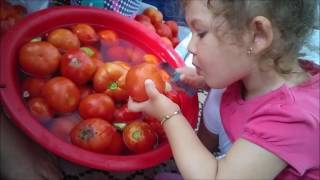 Geleneksel Yöntemle  Domates Konservesi yapımı