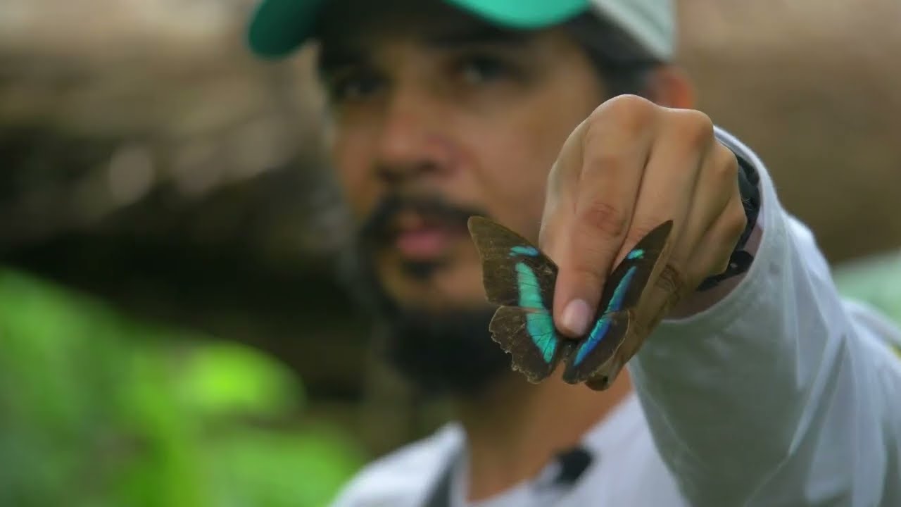 Programa Monitora - 10 anos