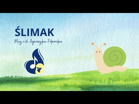 ŚLIMAK - Belmuza