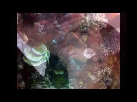 CHANSON LT - Jausmas